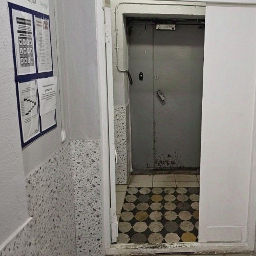 2-комн квартира д. Малые Вяземы, Петровское шоссе, 5