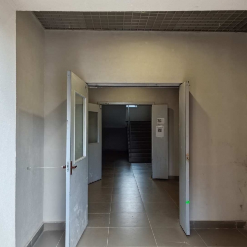 Студия Раменское г, Березовая роща ул