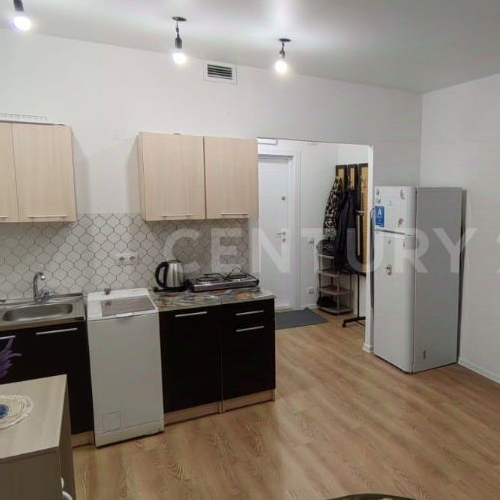 Студия Одинцово, улица Каштановая, 11