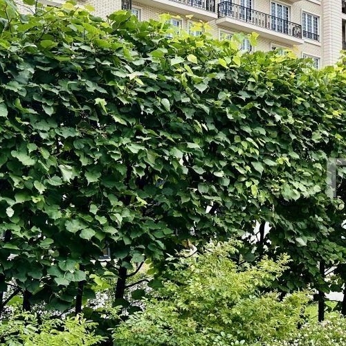 6-комн квартира улица Ефремова, 19к2