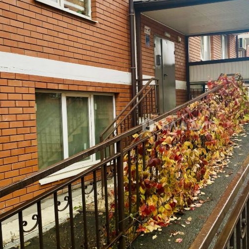 Студия с. Немчиновка, проезд Рублевский, 20Г