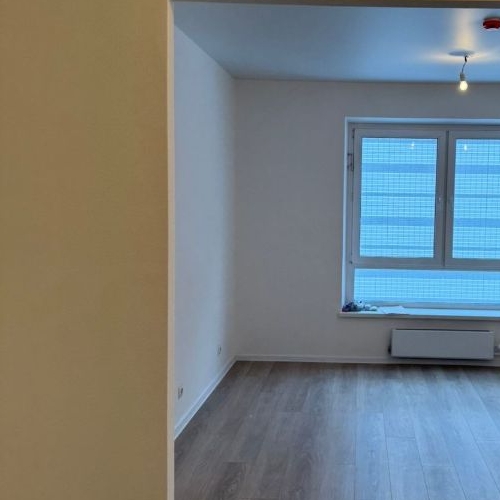 Студия улица Александры Монаховой, 91к1