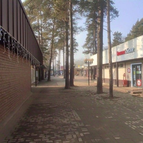 Помещение свободного назначения Чёрное, Носовихинское шоссе