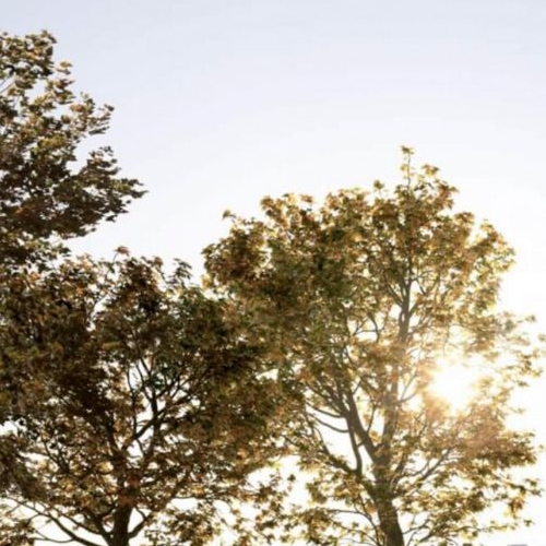 4-комн квартира Автозаводская улица, 26/1