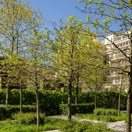 3-комн квартира улица Ефремова, 19к3