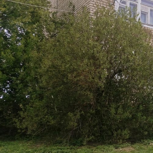 3-комн квартира д. Астафьево, 7