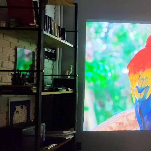 1-комн квартира Опалиха мкр, улица Пришвина, 5