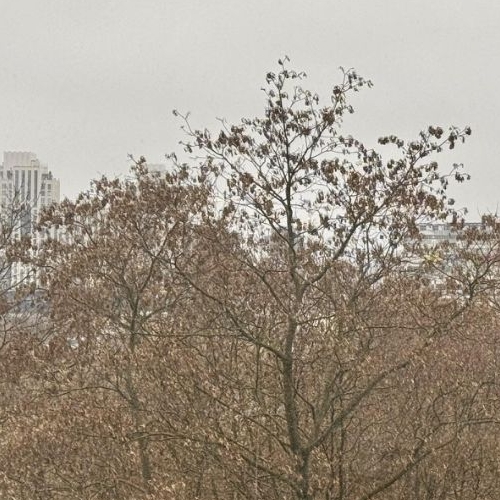 4-комн квартира улица Академика Королева, 10