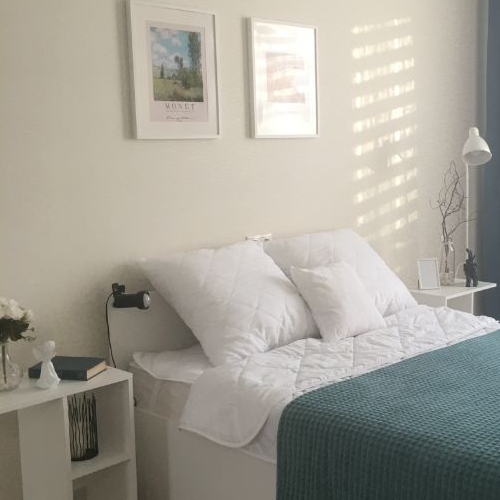 1-комн квартира д. Красный Поселок, улица Конюхова, 4