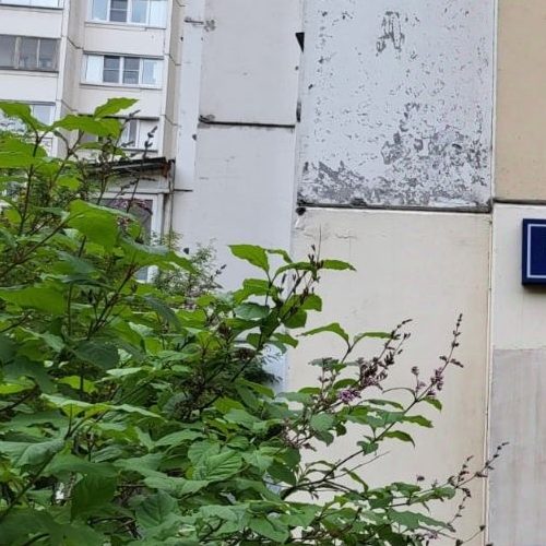 2-комн квартира Реутов, улица Победы, 22к2