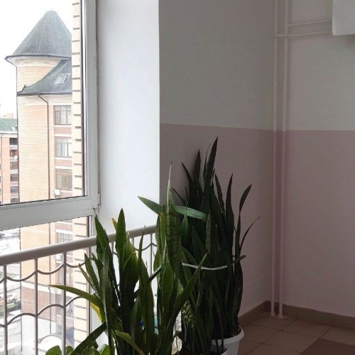 2-комн квартира Международный кв-л, Клязьма-Старбеево мкр, улица Береговая, 2