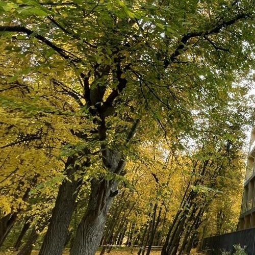 4-комн квартира проезд Досфлота, 12