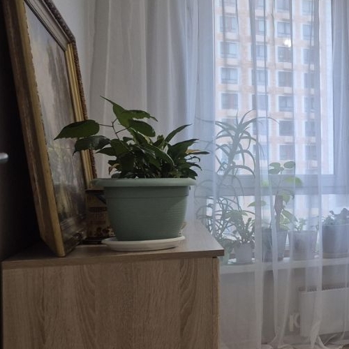 2-комн квартира Балашиха, улица Реутовская, 26