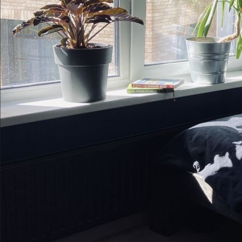 Студия Большая Филевская улица, 4