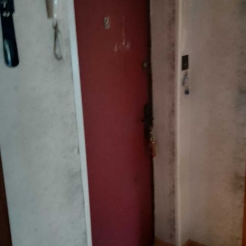 1-комн квартира Ивантеевка, улица Богданова,  д. 17