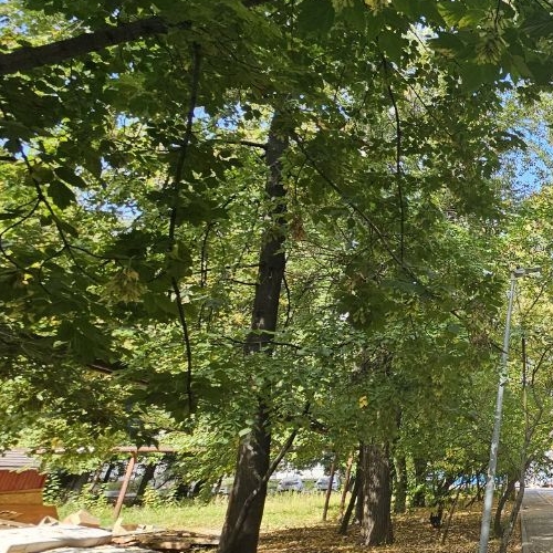 Студия улица 2-я Энтузиастов, 5к4