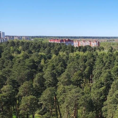 1-комн квартира Красноармейск, улица Новая Жизнь,  д. 8