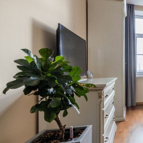 3-комн квартира Шмитовский проезд, 16С1