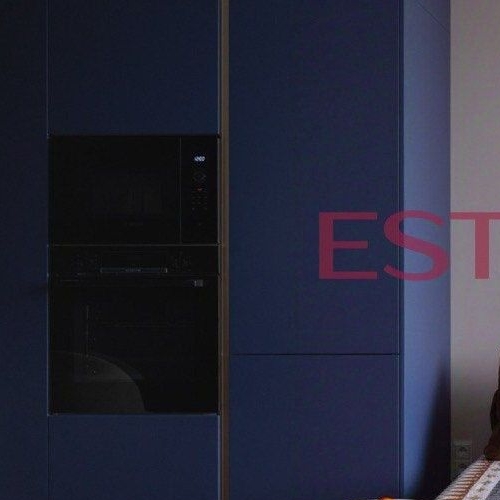 Студия Мичуринский проспект, 56