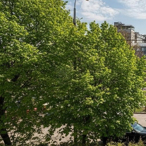 3-комн квартира Пречистенская набережная, 43