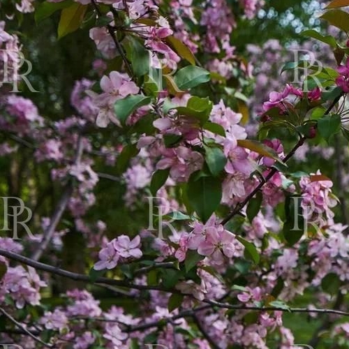 2-комн квартира проспект Вернадского, 94к5