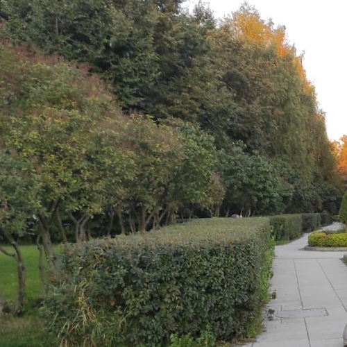 Студия улица 1-я Леонова, 18