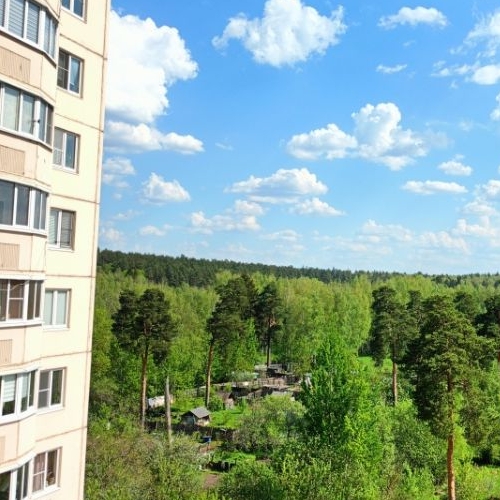 1-комн квартира Красноармейск, улица Новая Жизнь,  д. 8к1