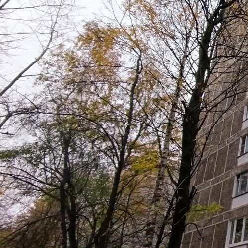 Студия улица Красного Маяка, 10