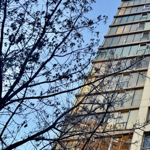 4-комн квартира Малая Филевская улица, 40к1