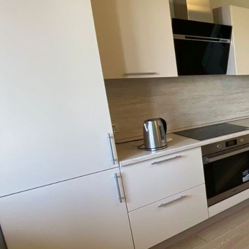 1-комн квартира Озерная улица, 9