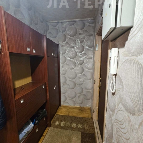 1-комн квартира Ивана Сусанина ул, 6к4