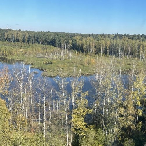 2-комн квартира Школьный мкр, д. Брехово,  д. к5