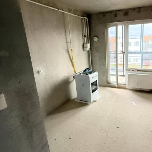 1-комн квартира д. Красный Поселок, улица Конюхова, 4