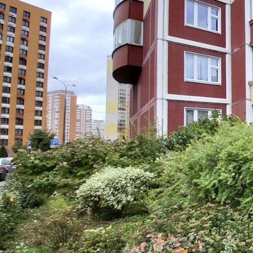 2-комн квартира улица Авиаконструктора Петлякова, 31