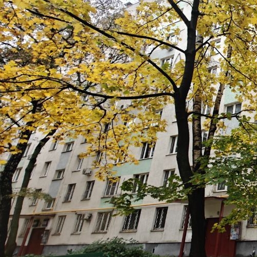 Студия Зеленый проспект, 50