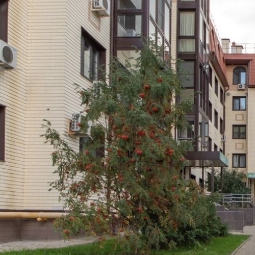 3-комн квартира с. Ромашково, улица Никольская, 2к2