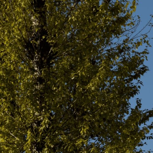 2-комн квартира Кутузовский проспект, 12