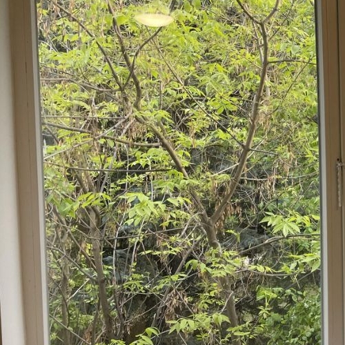 Студия Дмитровское шоссе, 88к2