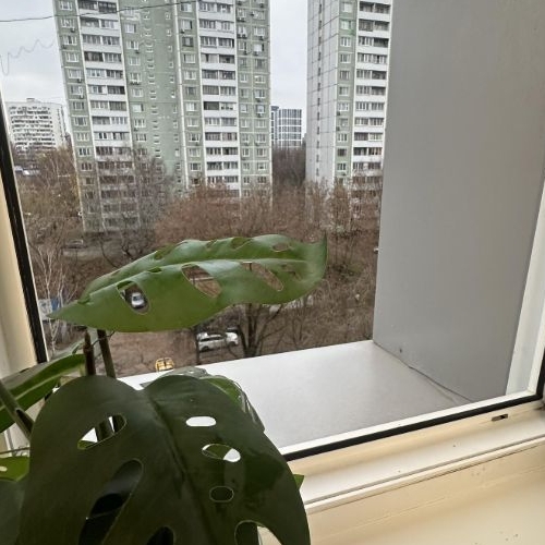 Студия Аминьевское шоссе, 5