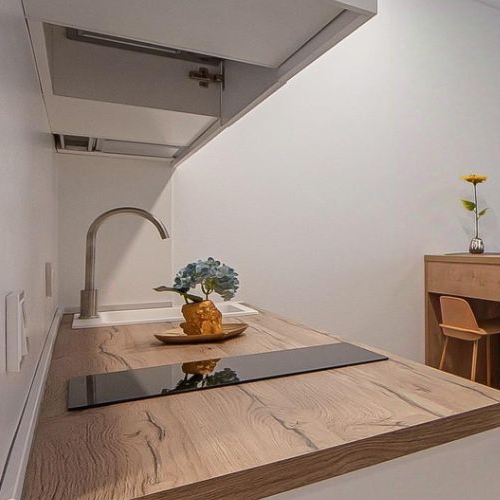 Студия улица Академика Павлова, 56к1