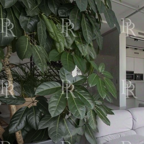 5-комн квартира проспект Вернадского, 94к3