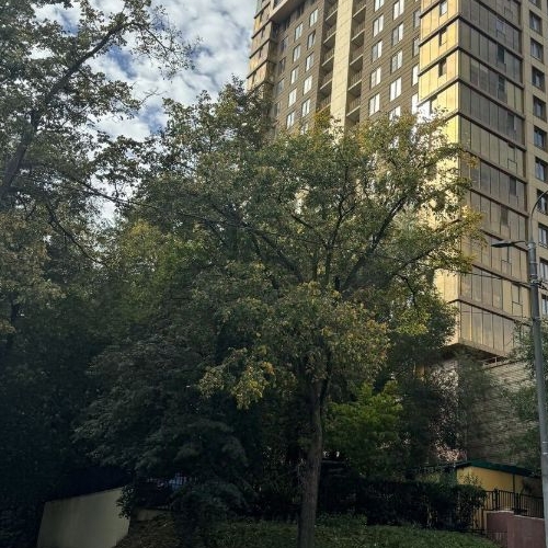 3-комн квартира Малая Филевская улица, 40к1