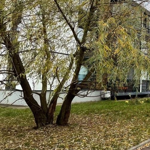 2-комн квартира Сампо ЖК, д. Красный Поселок, улица Фадеева,  д. 12