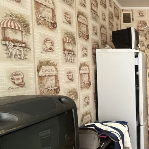 2-комн квартира улица Летчика Грицевца, 9