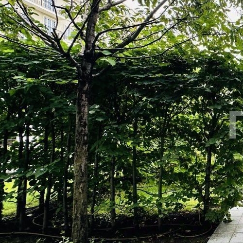 6-комн квартира улица Ефремова, 19к2