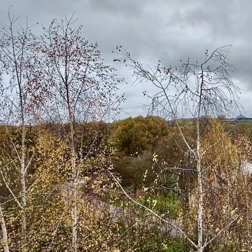 3-комн квартира Минская улица, 2Вк5