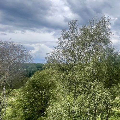 2-комн квартира Сабурово пгт, улица Луговая, 13