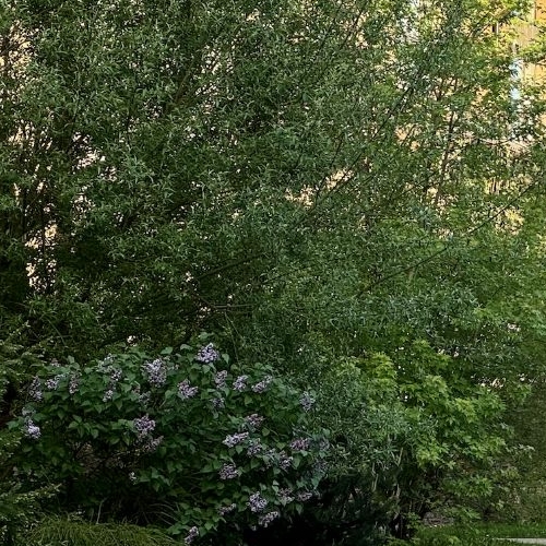 3-комн квартира с. Павловская Слобода, улица Изумрудная, 2к2