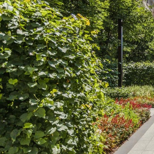 4-комн квартира улица Ефремова, 19к1