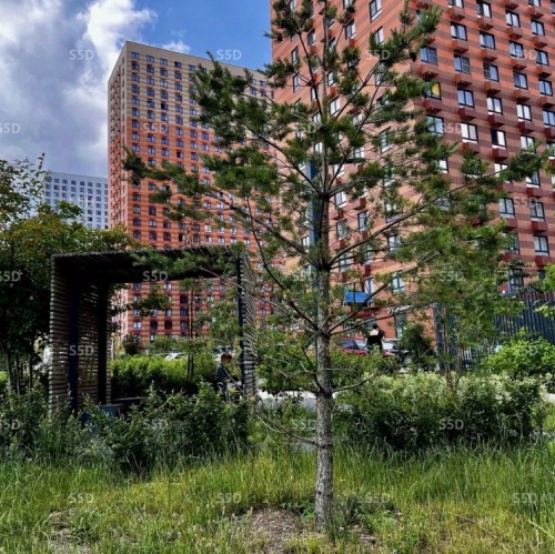 Помещение свободного назначения Ленинский городской округ, Лесная улица,  д. 8 к1